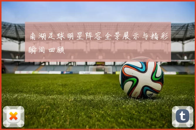 南湖足球明星阵容全景展示与精彩瞬间回顾