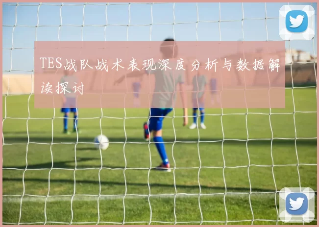 TES战队战术表现深度分析与数据解读探讨
