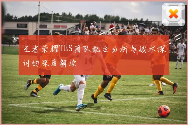 王者荣耀TES团队配合分析与战术探讨的深度解读