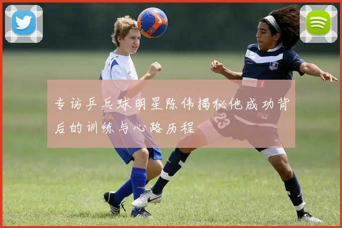 专访乒乓球明星陈伟揭秘他成功背后的训练与心路历程