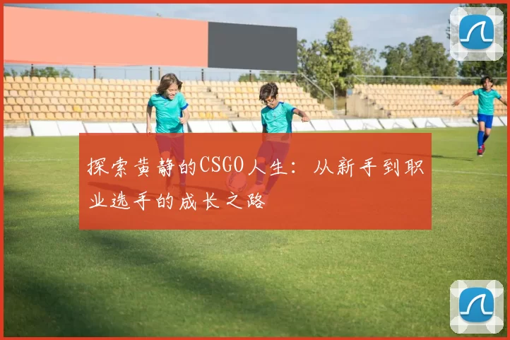 探索黄静的CSGO人生：从新手到职业选手的成长之路