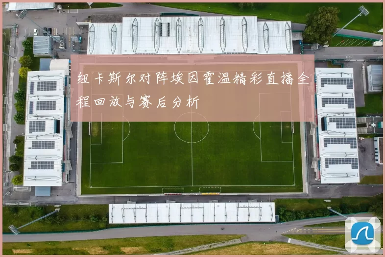 纽卡斯尔对阵埃因霍温精彩直播全程回放与赛后分析