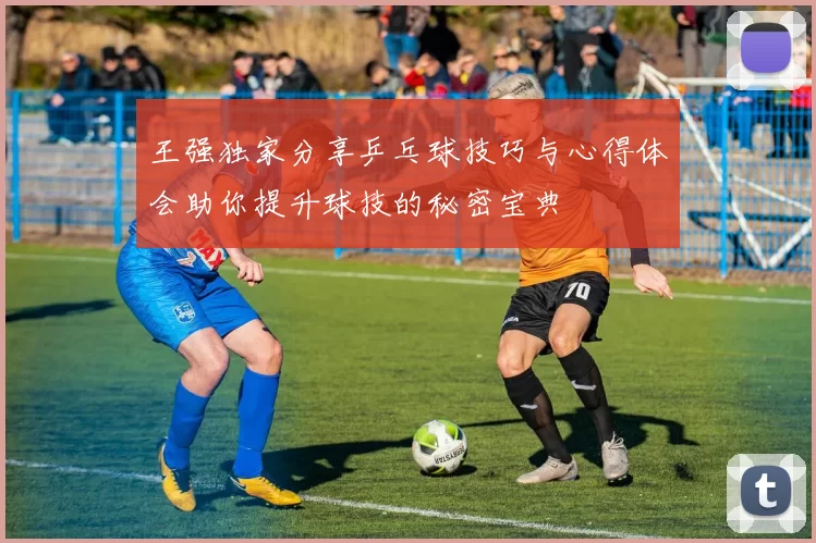 王强独家分享乒乓球技巧与心得体会助你提升球技的秘密宝典