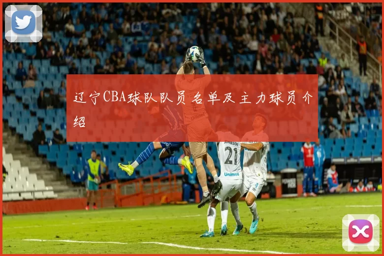 辽宁CBA球队队员名单及主力球员介绍