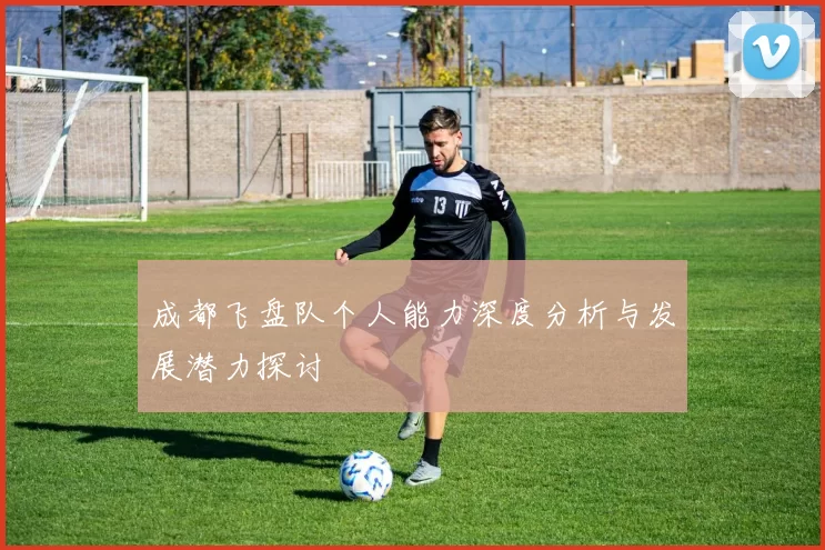 成都飞盘队个人能力深度分析与发展潜力探讨
