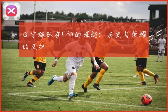 辽宁球队在CBA的崛起：历史与荣耀的交织