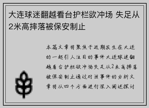 大连球迷翻越看台护栏欲冲场 失足从2米高摔落被保安制止